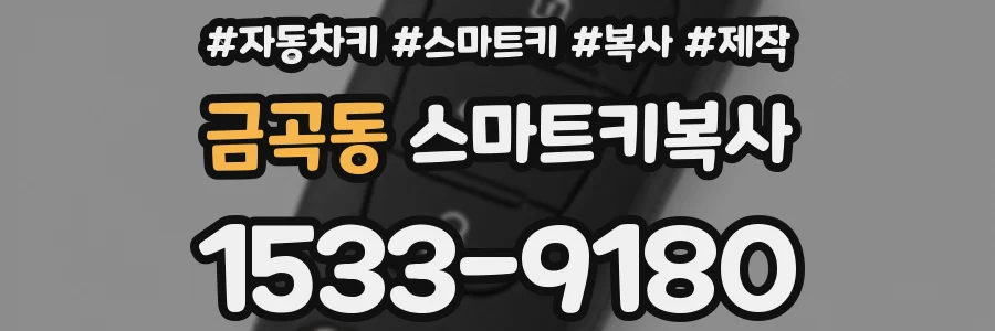 금곡동 스마트키복사