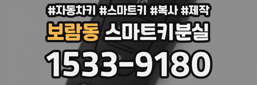 보람동 스마트키분실