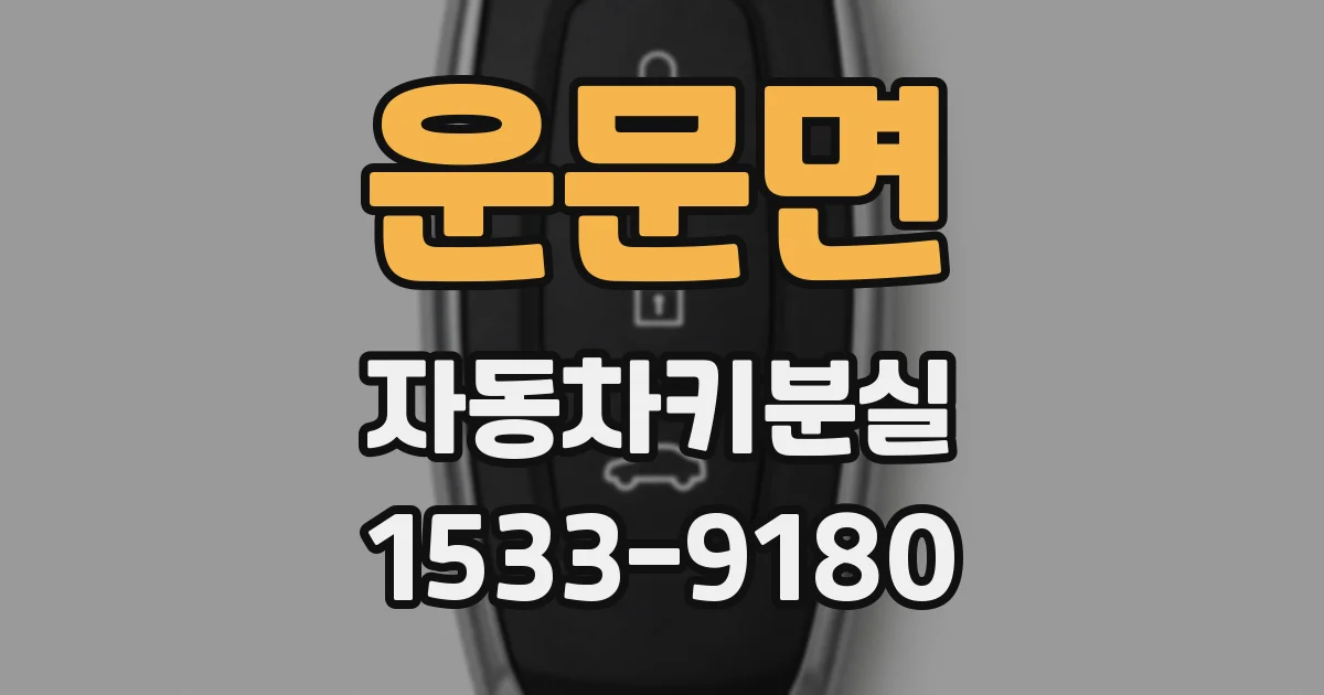 운문면 자동차키분실