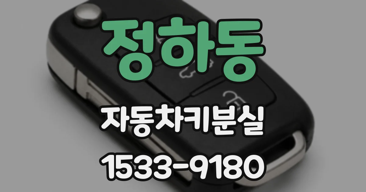 정하동 자동차키분실