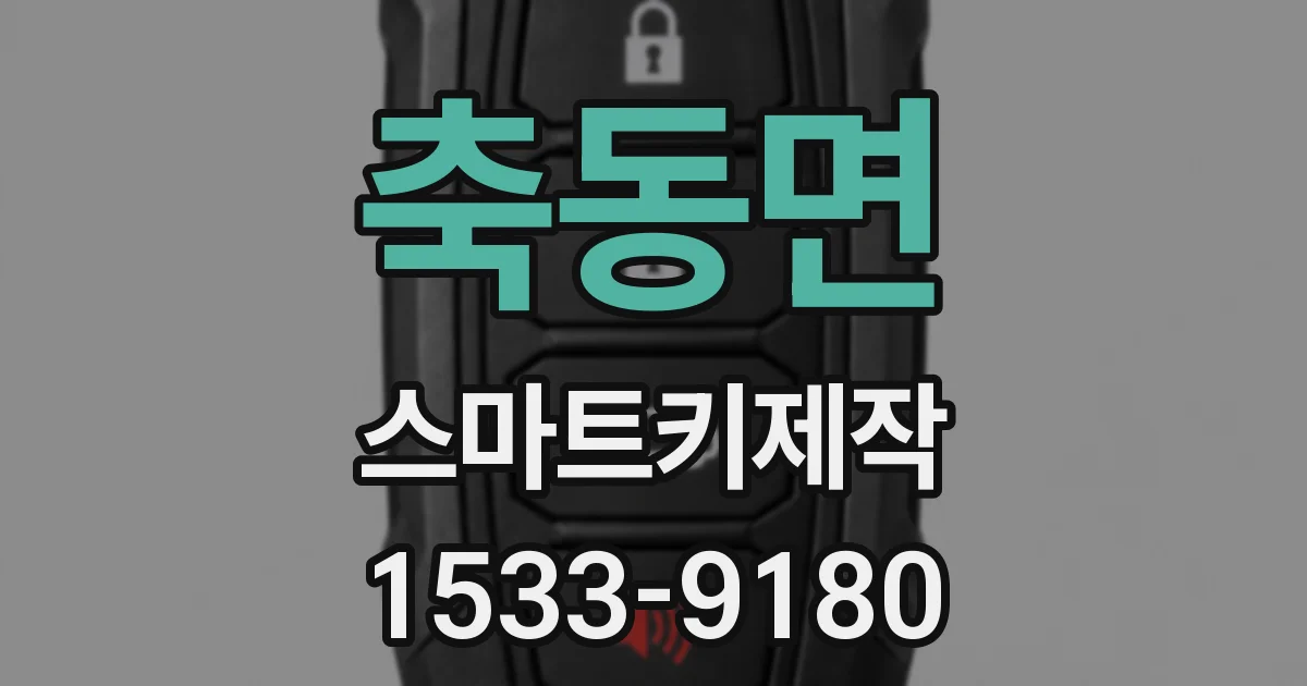 축동면 스마트키제작