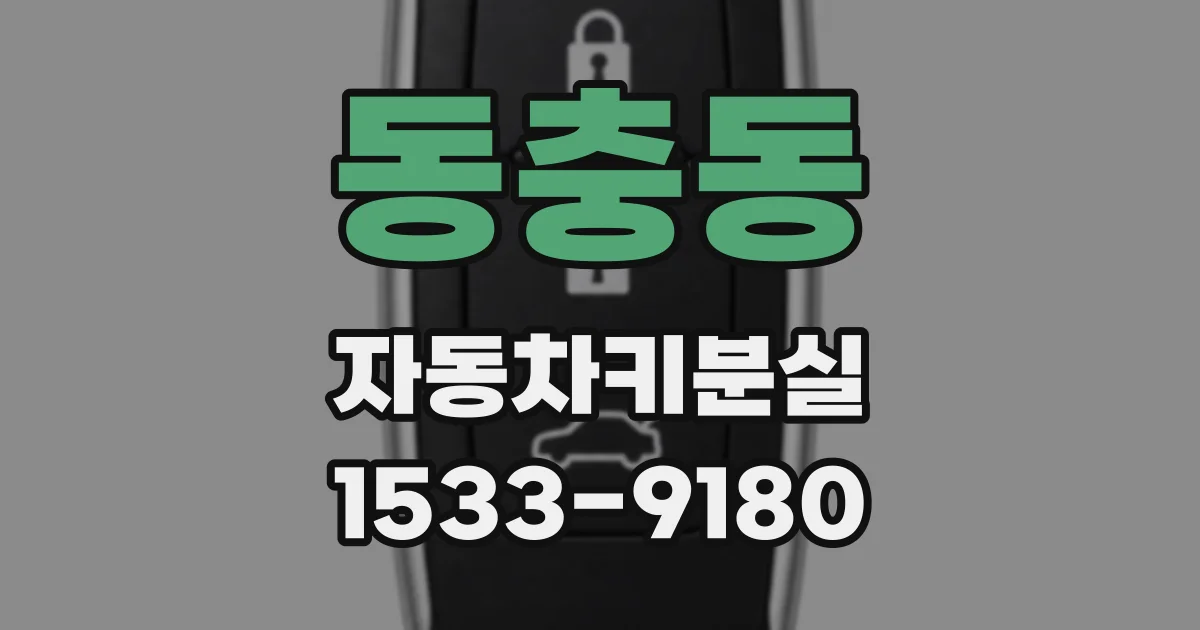 동충동 자동차키분실
