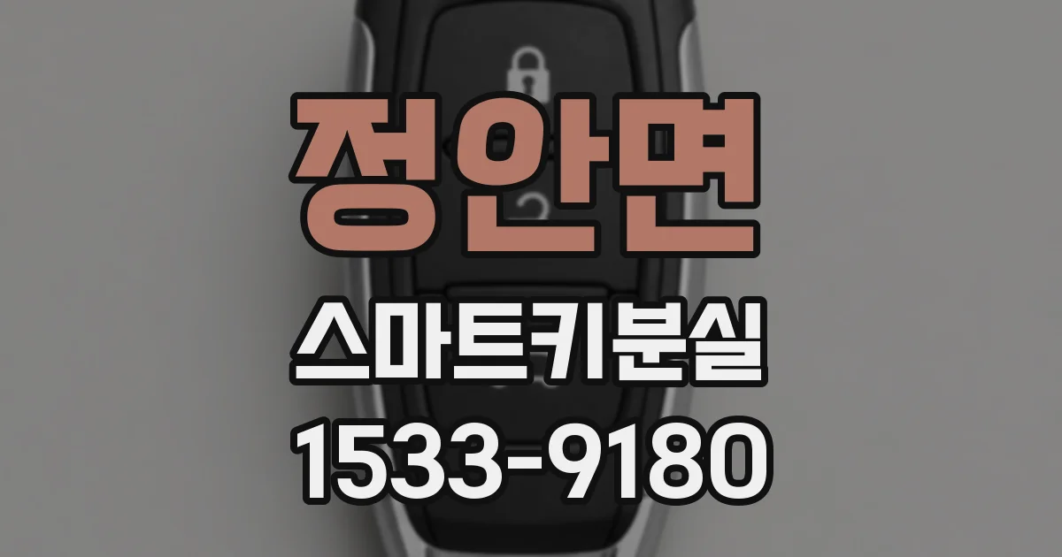 정안면 스마트키분실