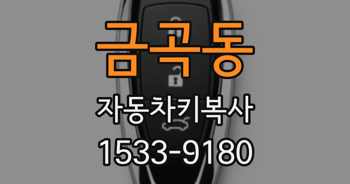 금곡동 자동차키복사