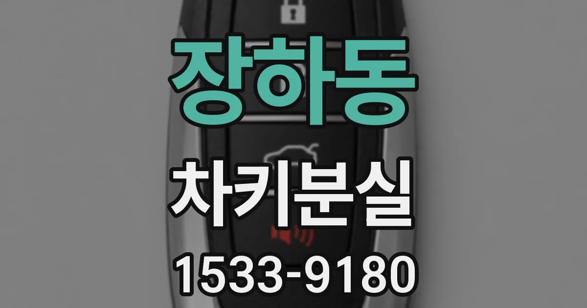 장하동 차키분실