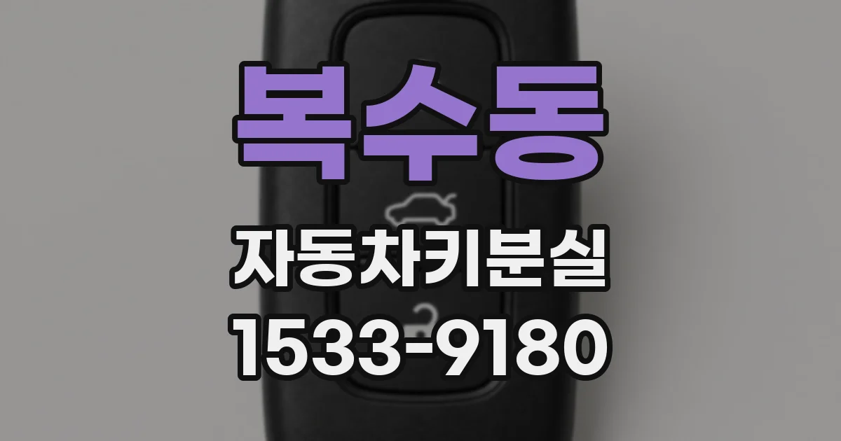 복수동 자동차키분실
