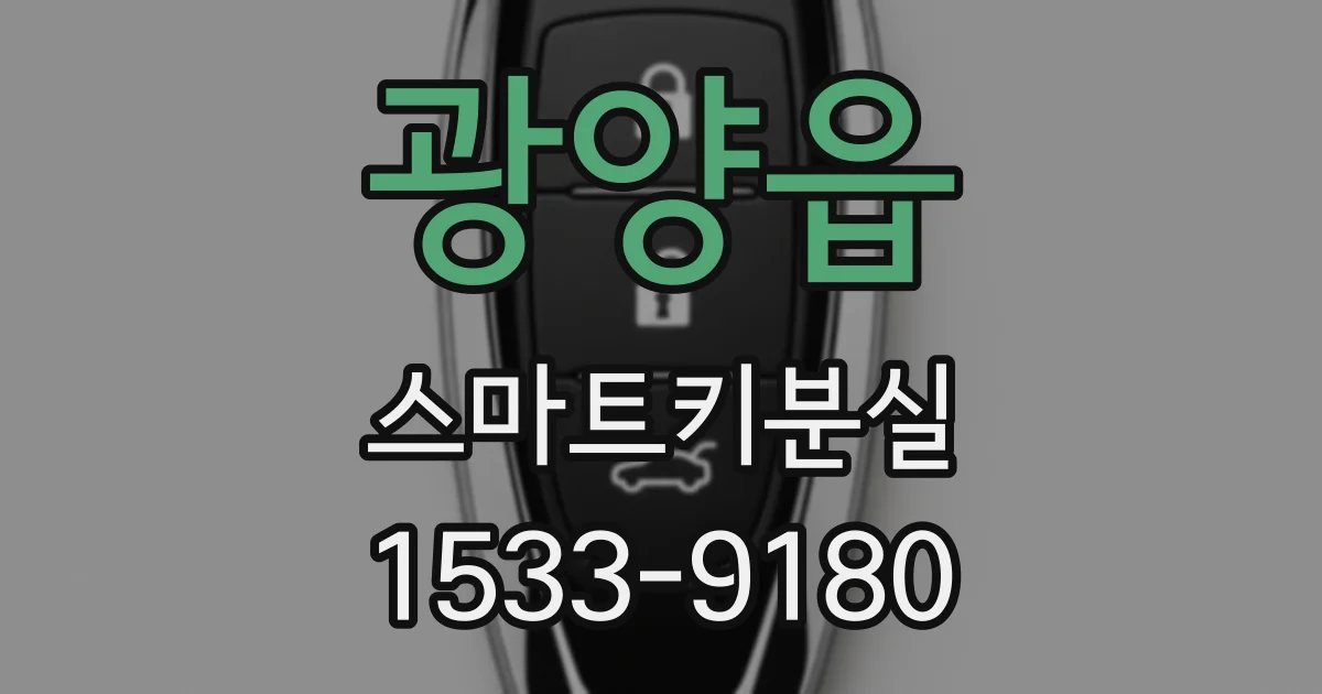 광양읍 스마트키분실