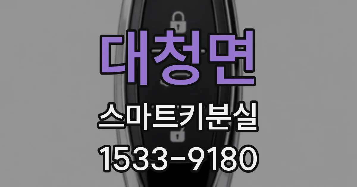 대청면 스마트키분실
