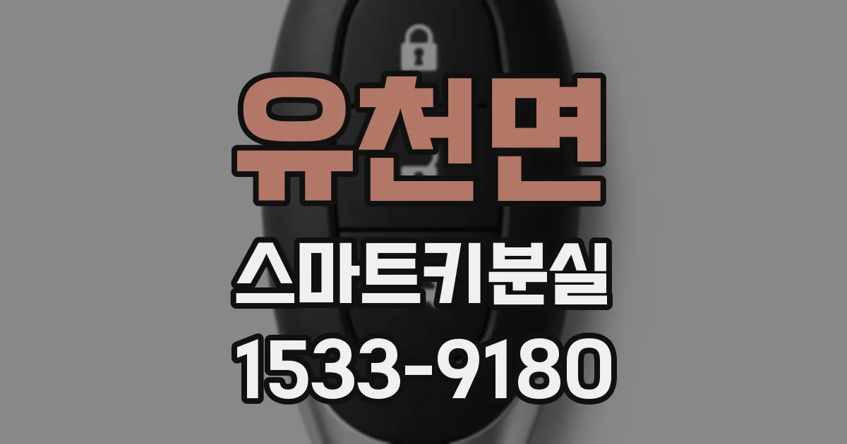 유천면 스마트키분실