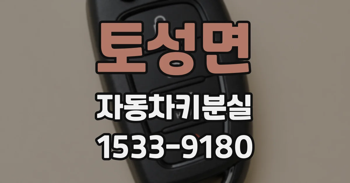 토성면 자동차키분실