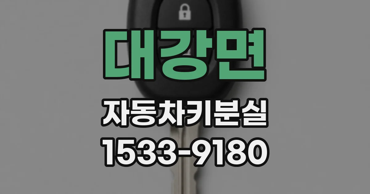 대강면 자동차키분실