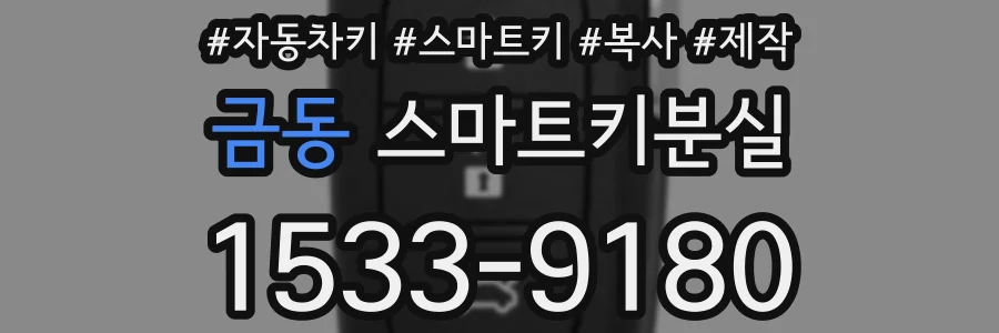 금동 스마트키분실