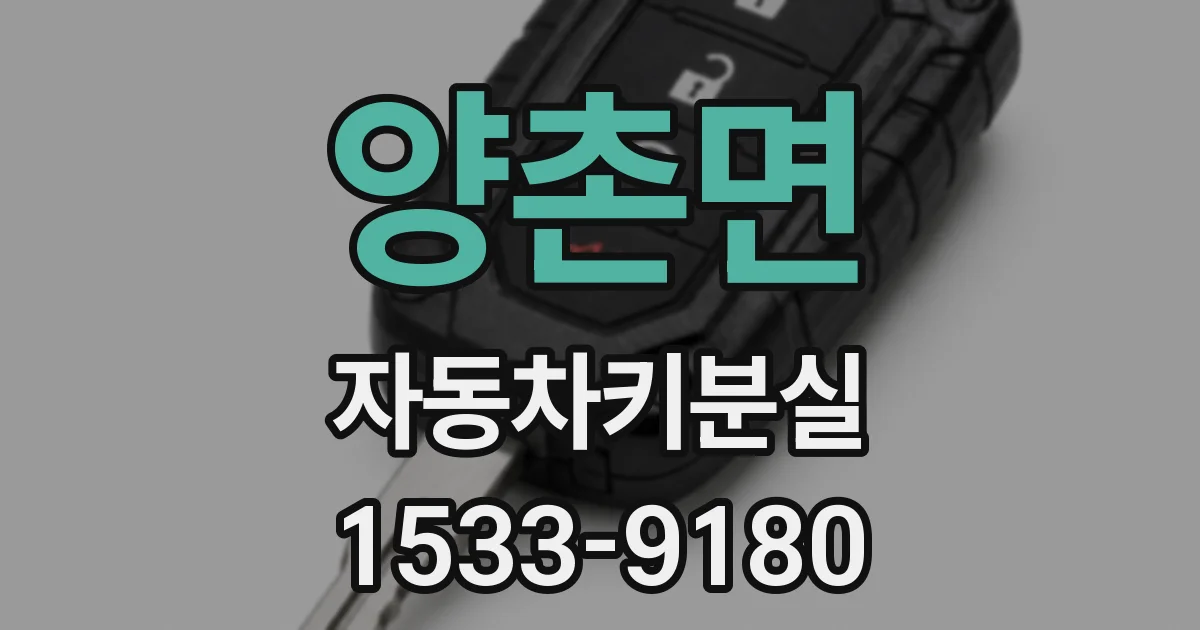 양촌면 자동차키분실