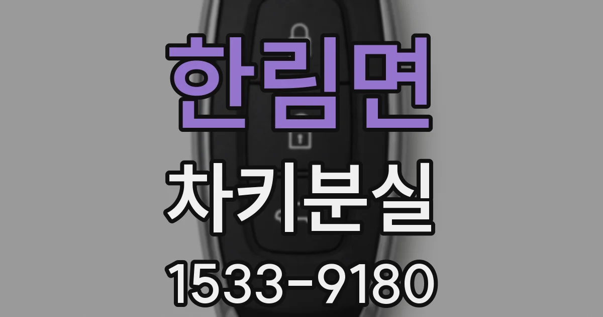 한림면 차키분실
