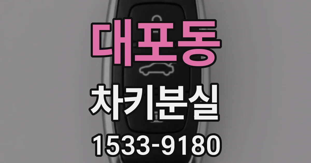 대포동 차키분실