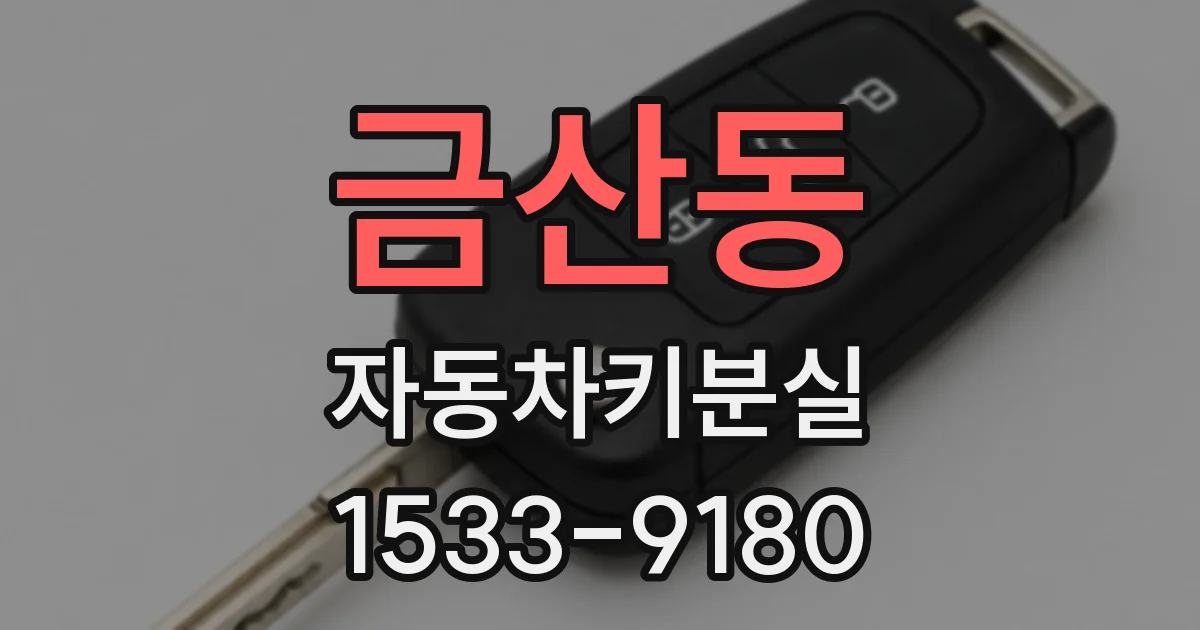 금산동 자동차키분실