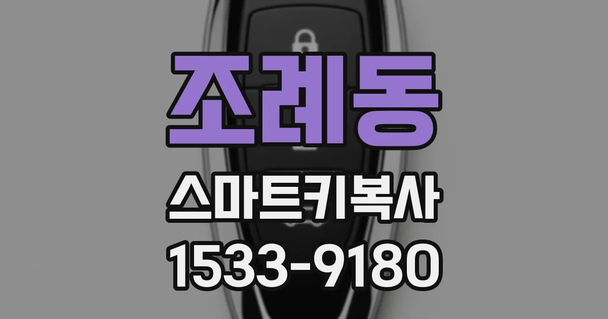 조례동 스마트키복사