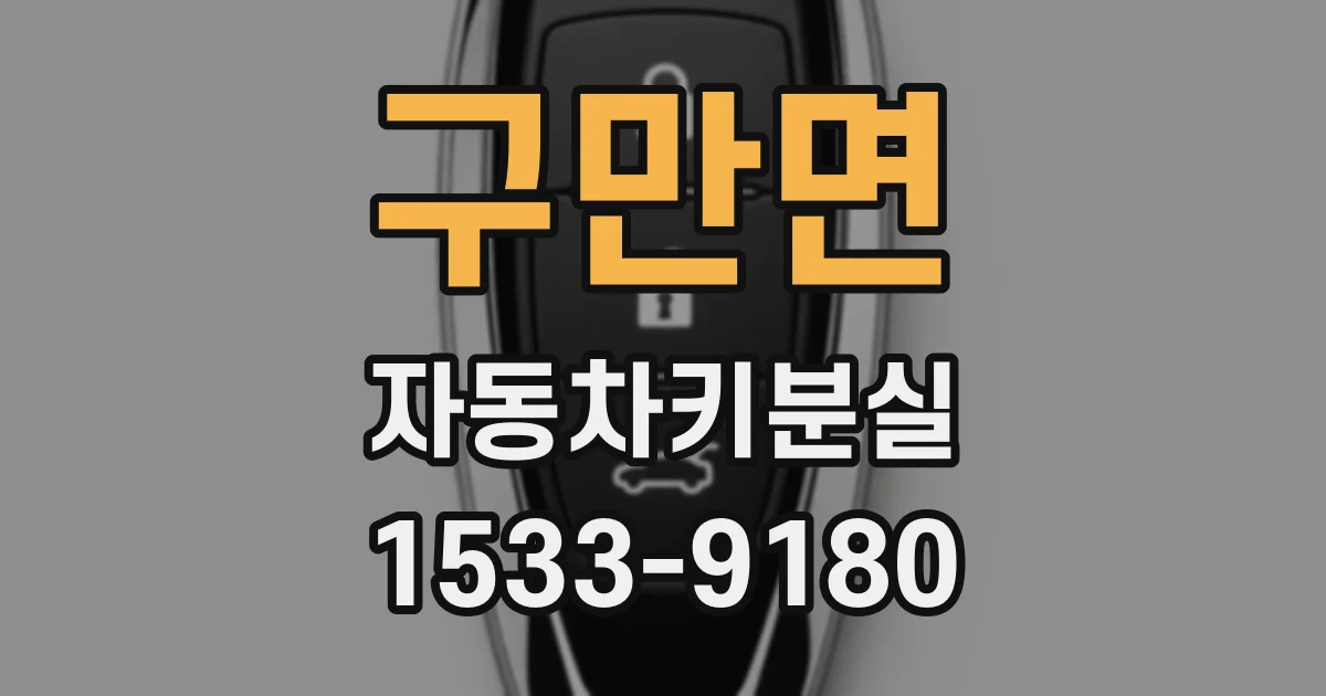 구만면 자동차키분실