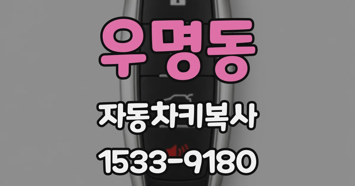 우명동 자동차키복사