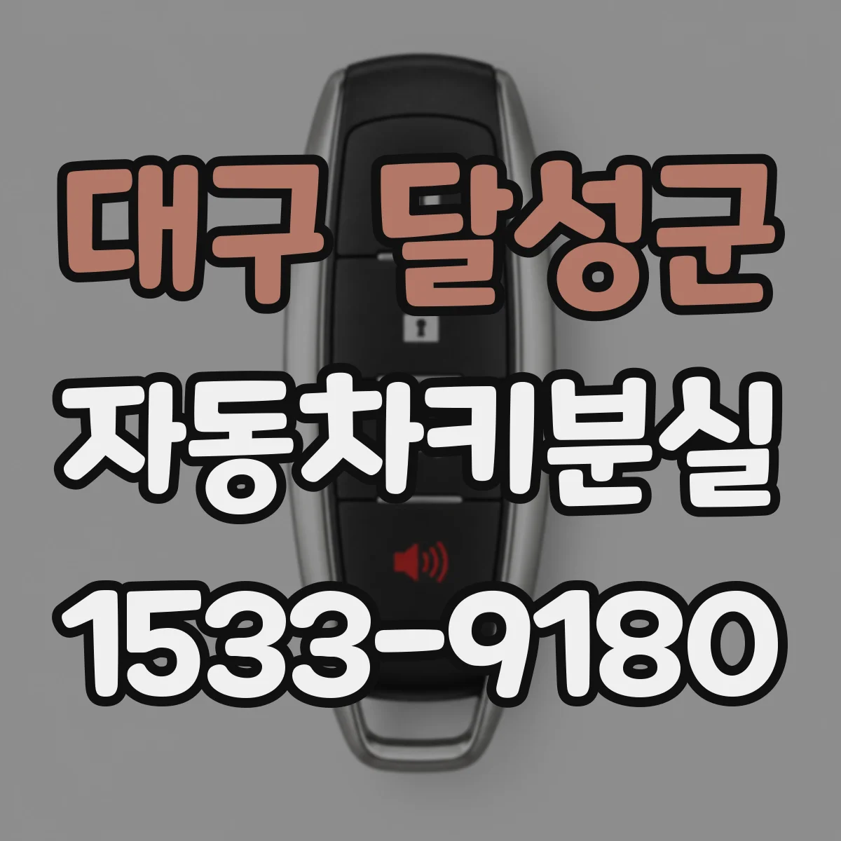 대구 달성군 자동차키분실