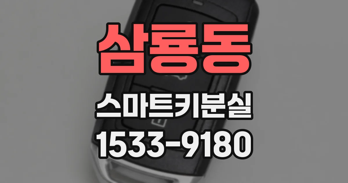 삼룡동 스마트키분실