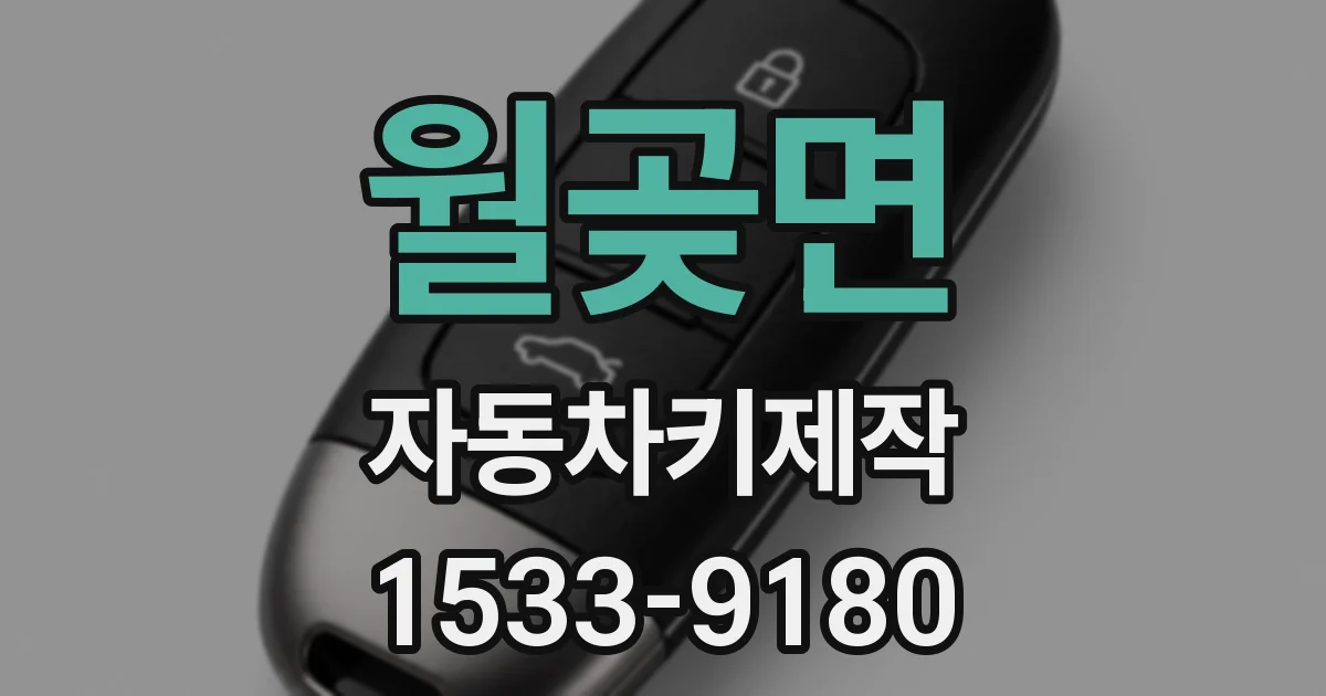 월곶면 자동차키제작