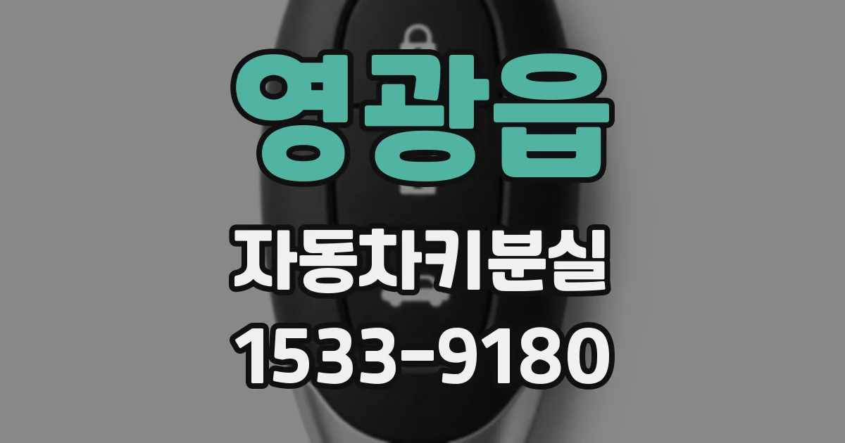 영광읍 자동차키분실