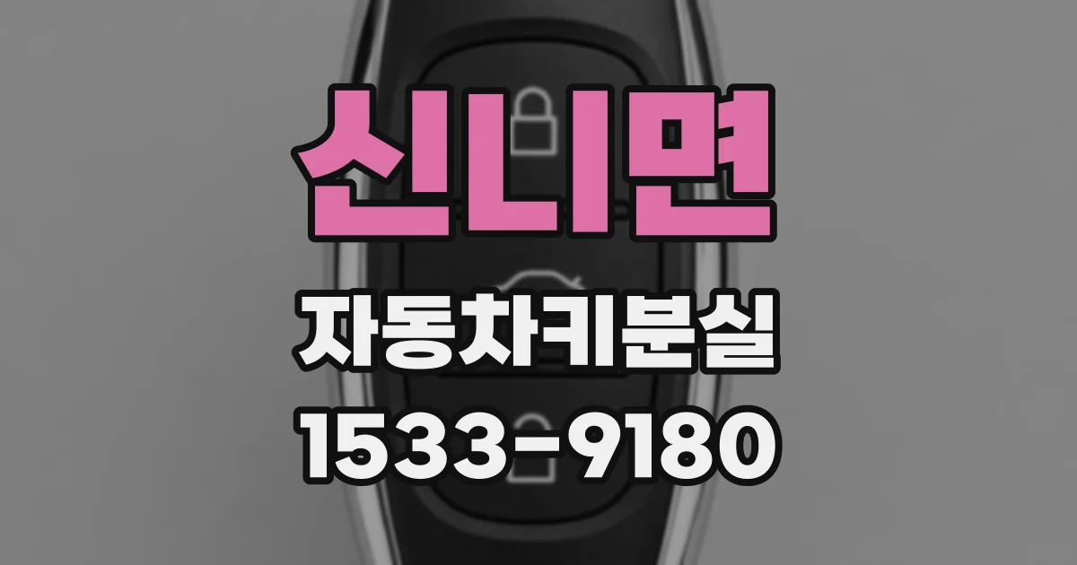 신니면 자동차키분실