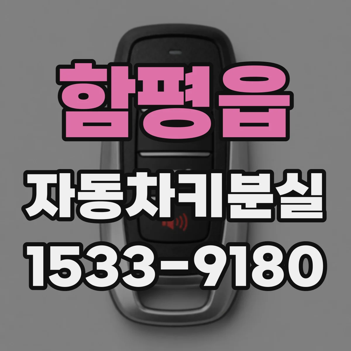 함평읍 자동차키분실