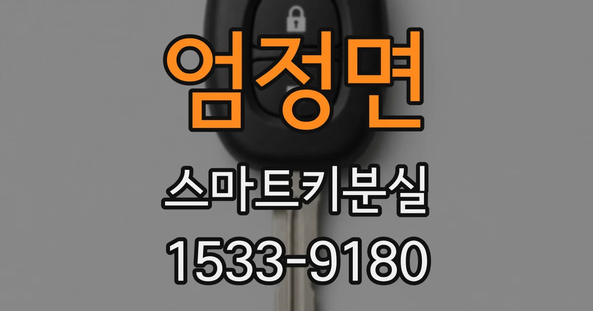 엄정면 스마트키분실