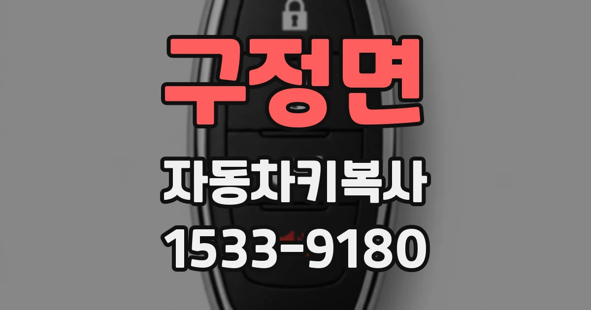 구정면 자동차키복사