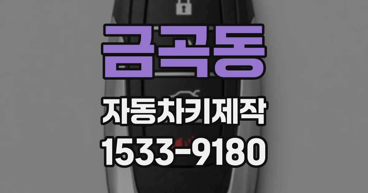 금곡동 자동차키제작