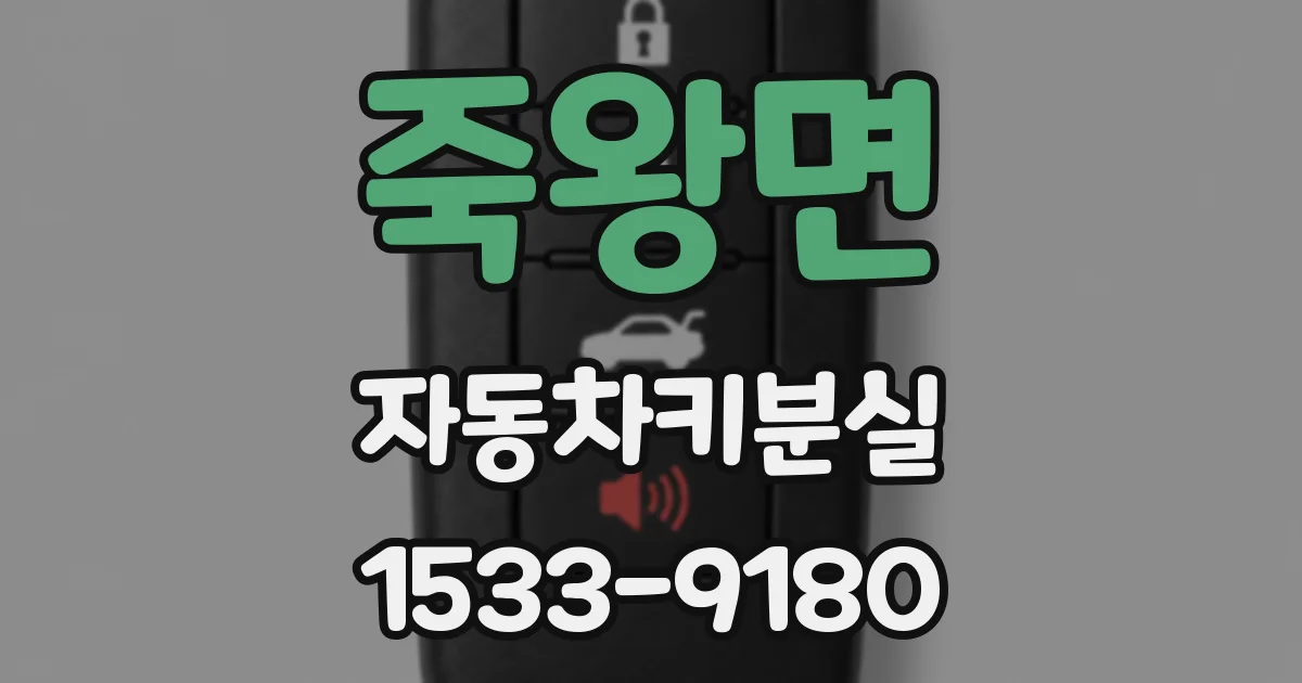 죽왕면 자동차키분실