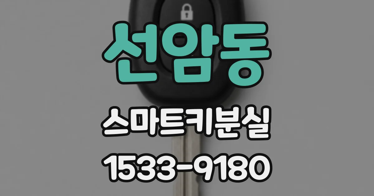 선암동 스마트키분실