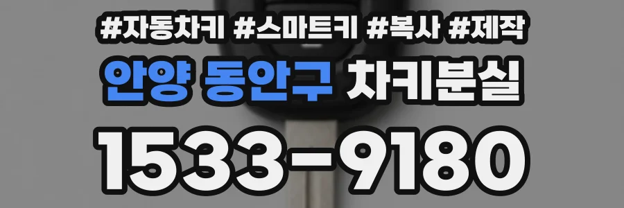 안양 동안구 차키분실