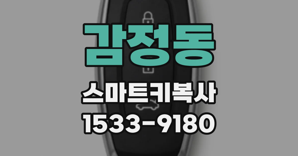 감정동 스마트키복사
