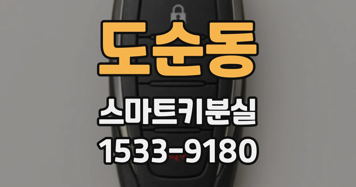 도순동 스마트키분실