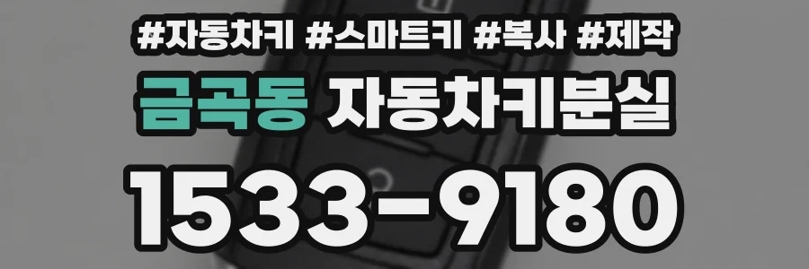금곡동 자동차키분실