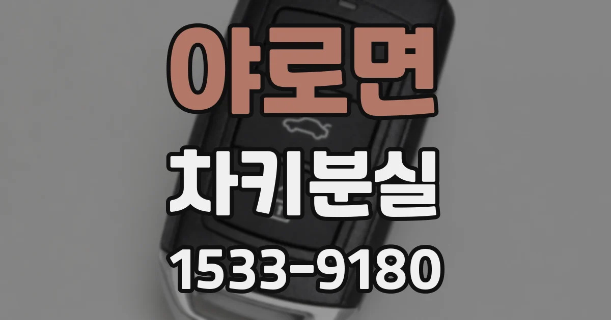 야로면 차키분실