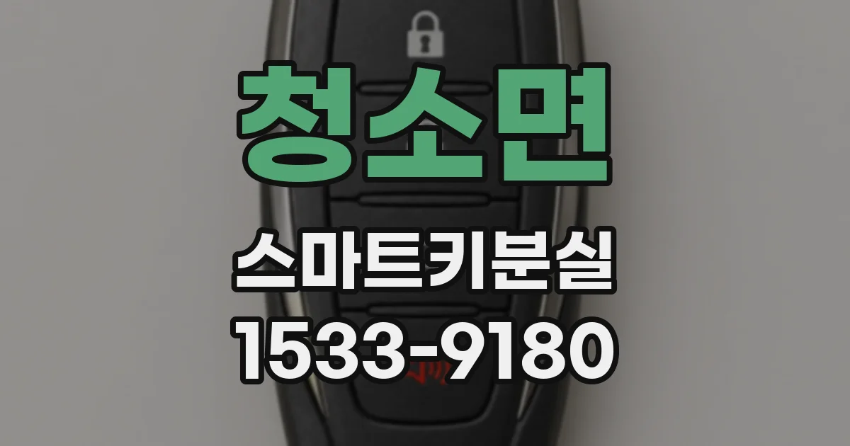 청소면 스마트키분실