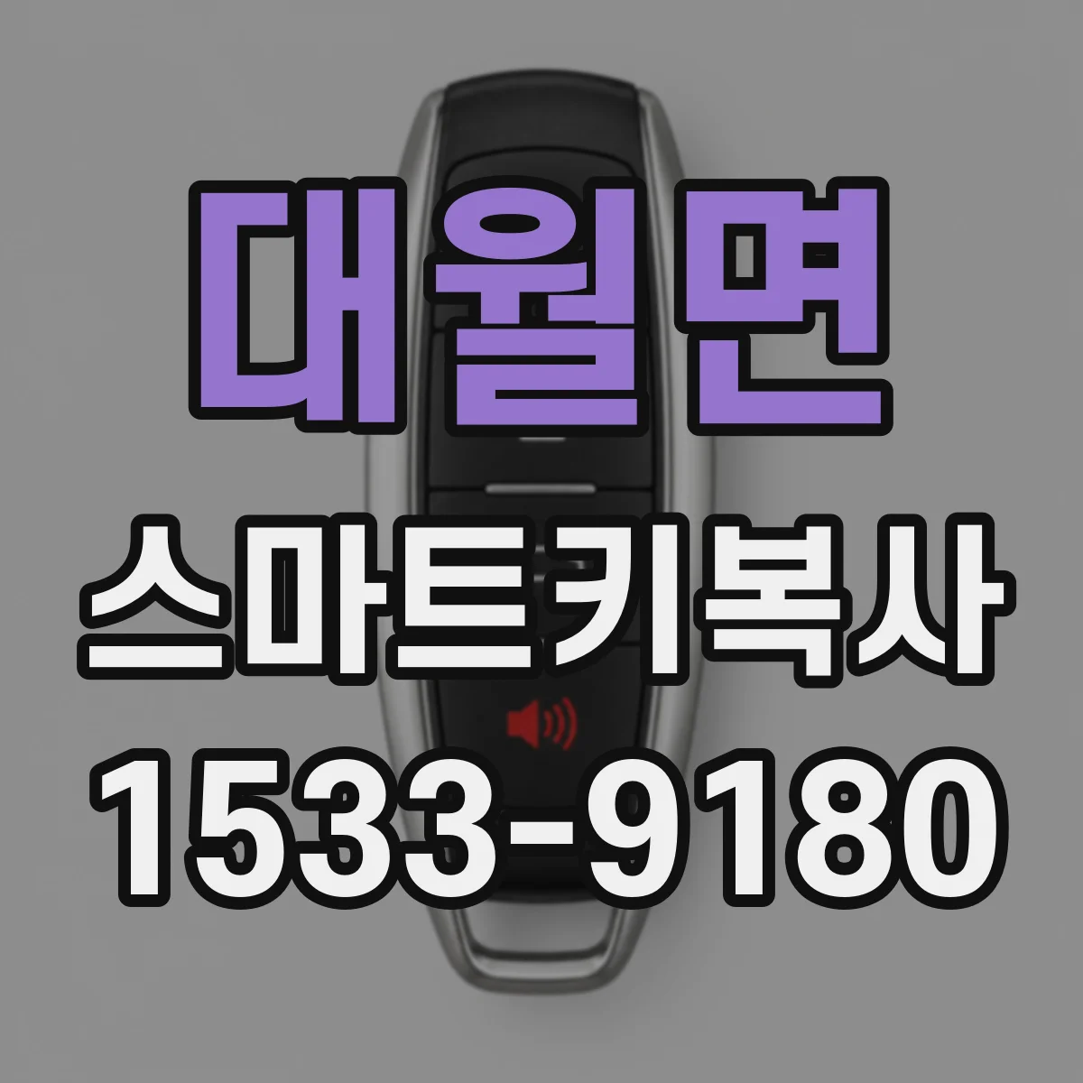 대월면 스마트키복사