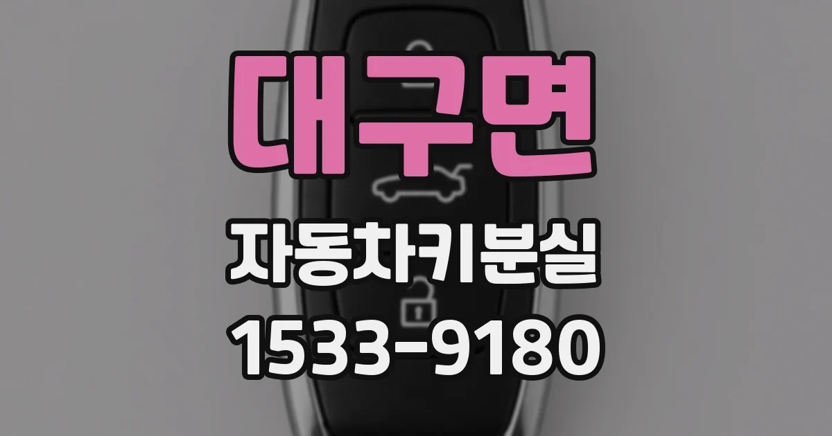 대구면 자동차키분실