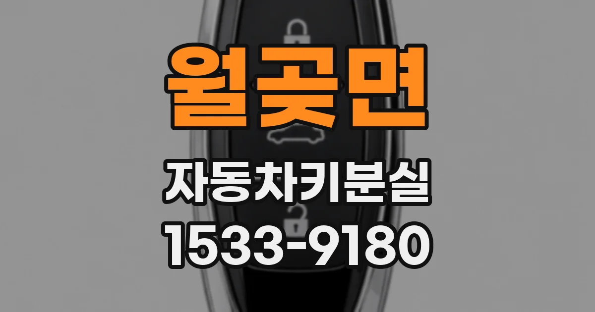 월곶면 자동차키분실