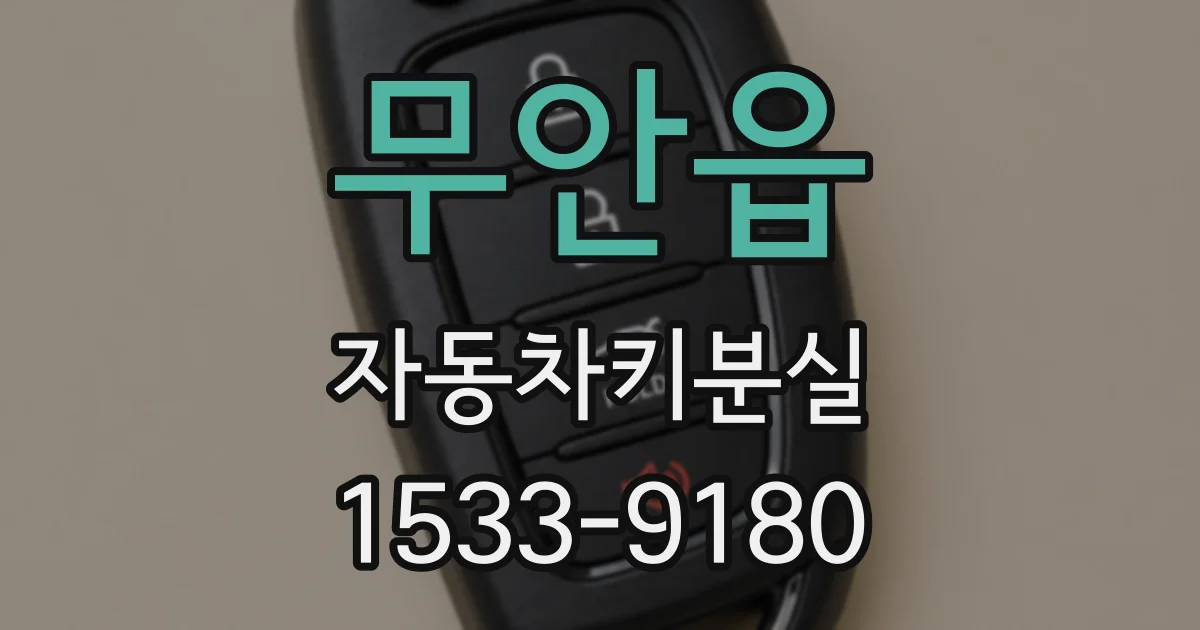 무안읍 자동차키분실