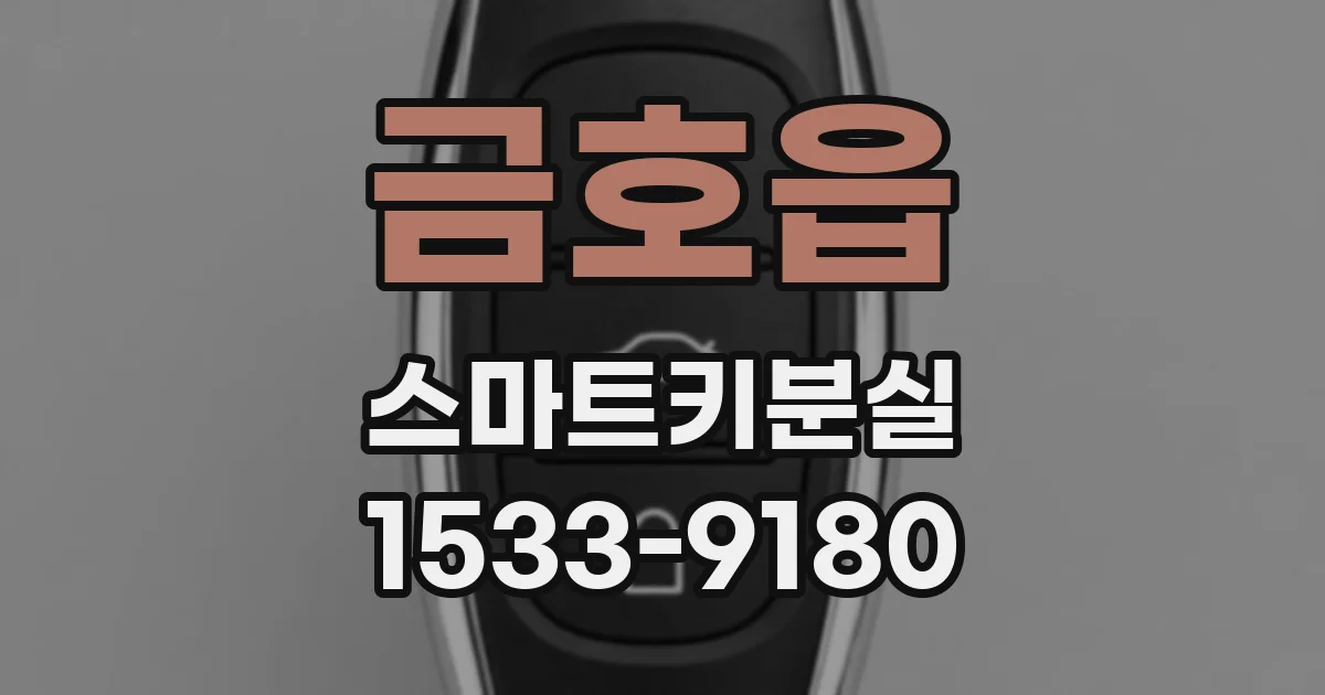 금호읍 스마트키분실