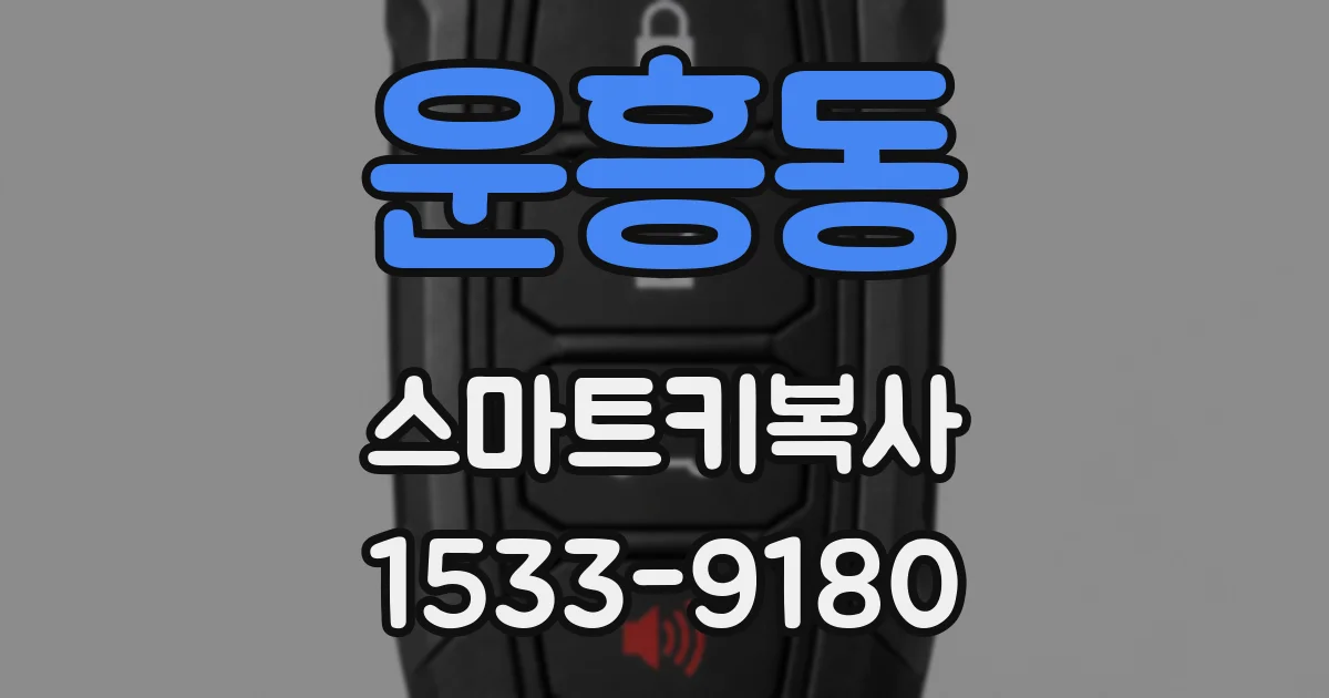 운흥동 스마트키복사