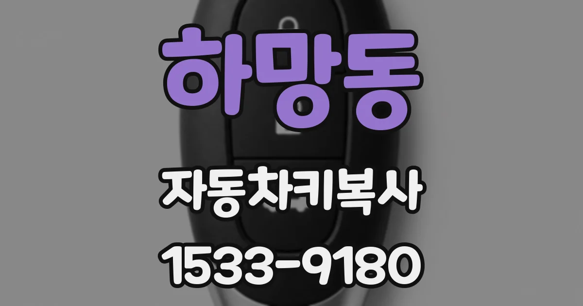 하망동 자동차키복사
