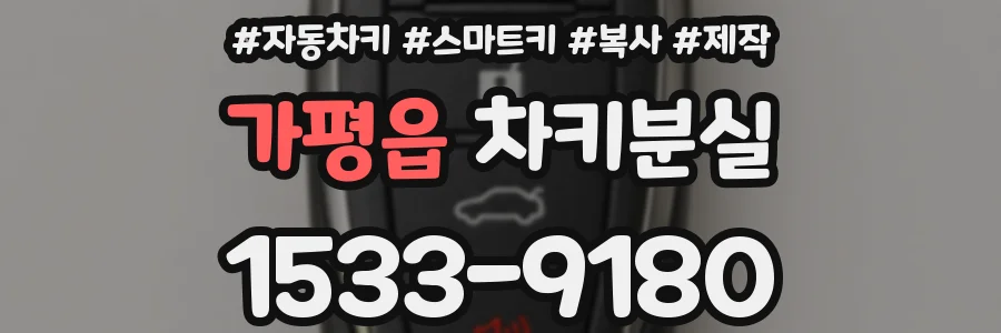 가평읍 차키분실