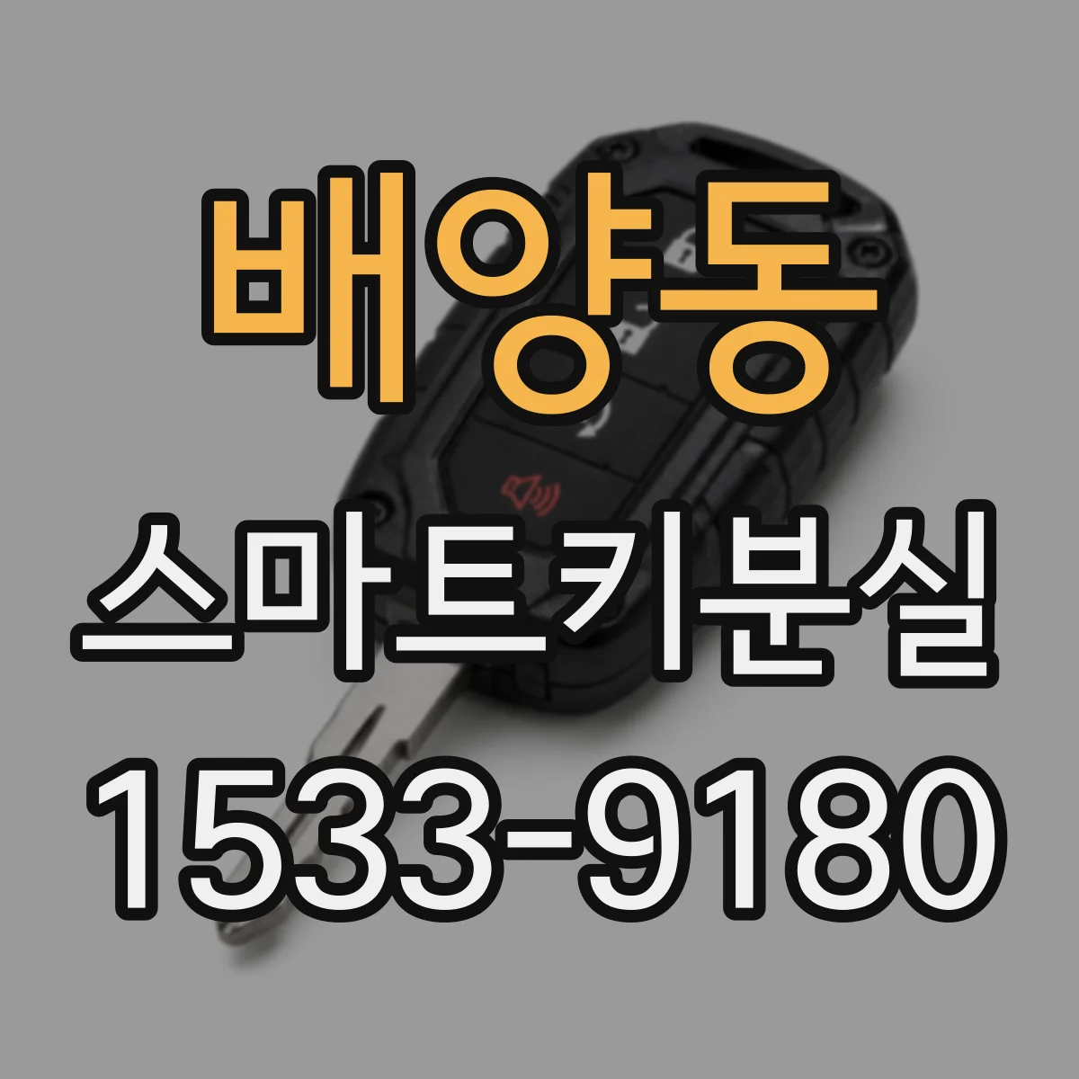 배양동 스마트키분실