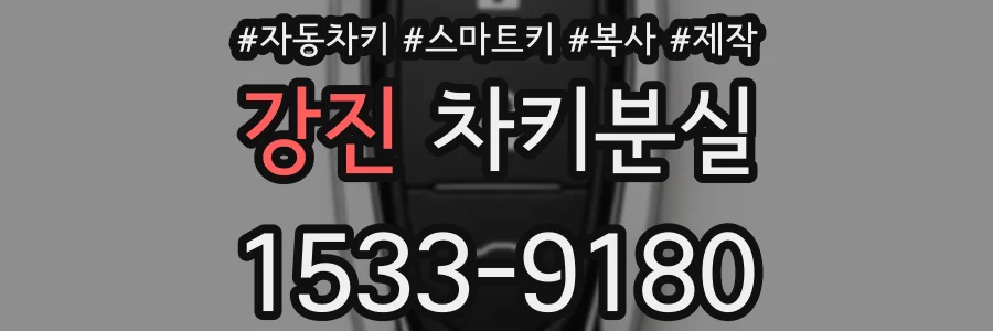 강진 차키분실